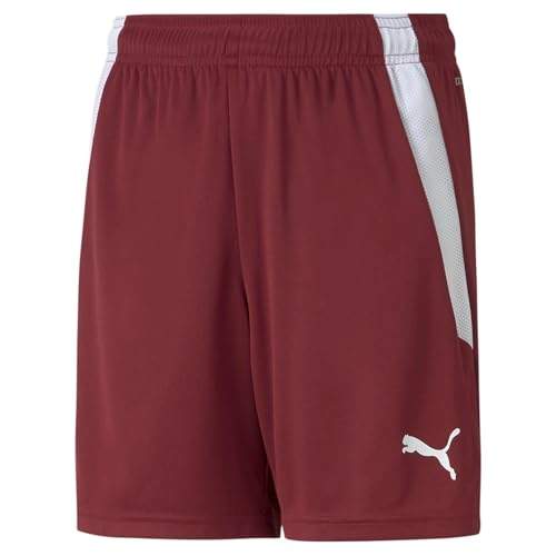 PUMA Unisex Baby Teamliga Shorts Jr, Cordovan, 128