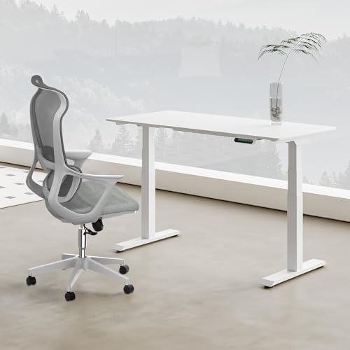 📍 **FLEXISPOT Bürostuhl Ergonomisch Schreibtischstuhl Computerstuhl Höhenverstellbarer Sitz Kopfstütze Armlehne Lendenwirbelstütze Lenkrollen Arbeitsstuhl Drehstuhl (Grau)**